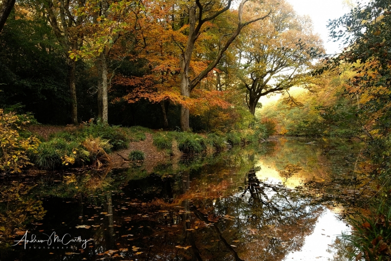 Teign-Autumn-colours