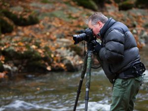 1:1 wildlife & landscape photo sessions