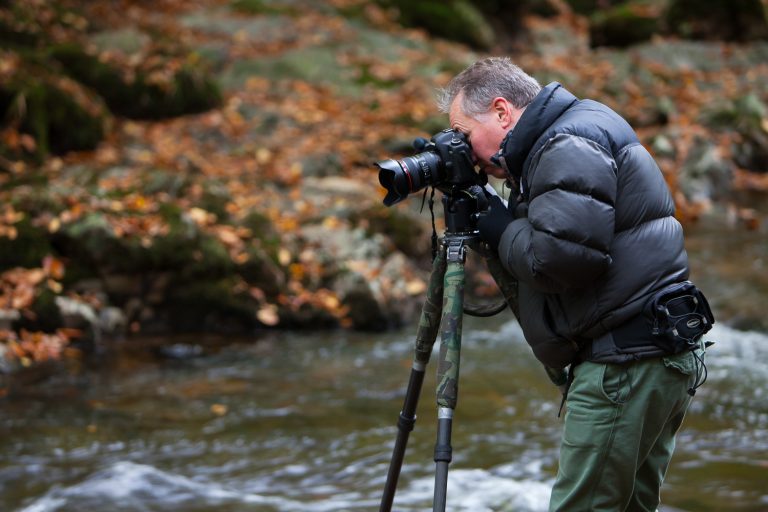1:1 wildlife & landscape photo sessions