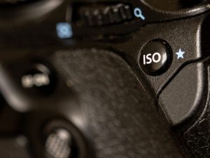 1:1 Photography Tutorial on Zoom - Two One Hour Sessions