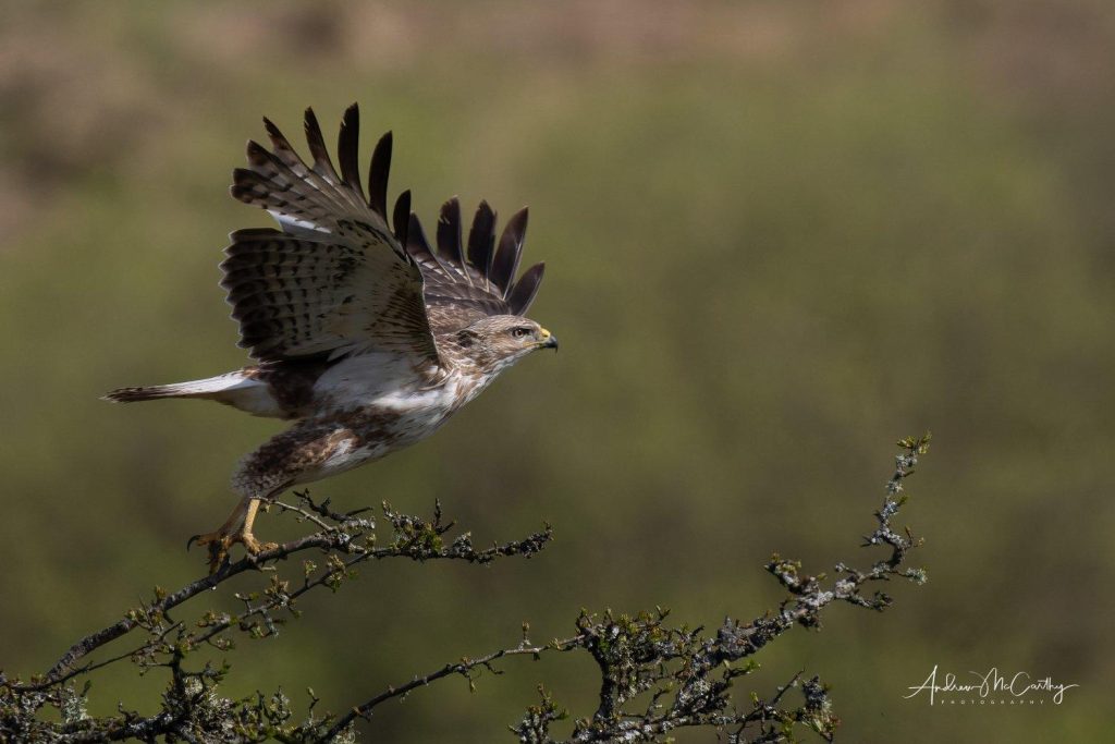 5022893-ORF_DxO_DeepPRIME