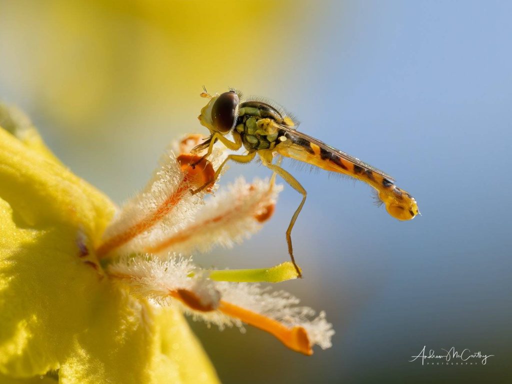 7253768-Enhanced-NR-Edit