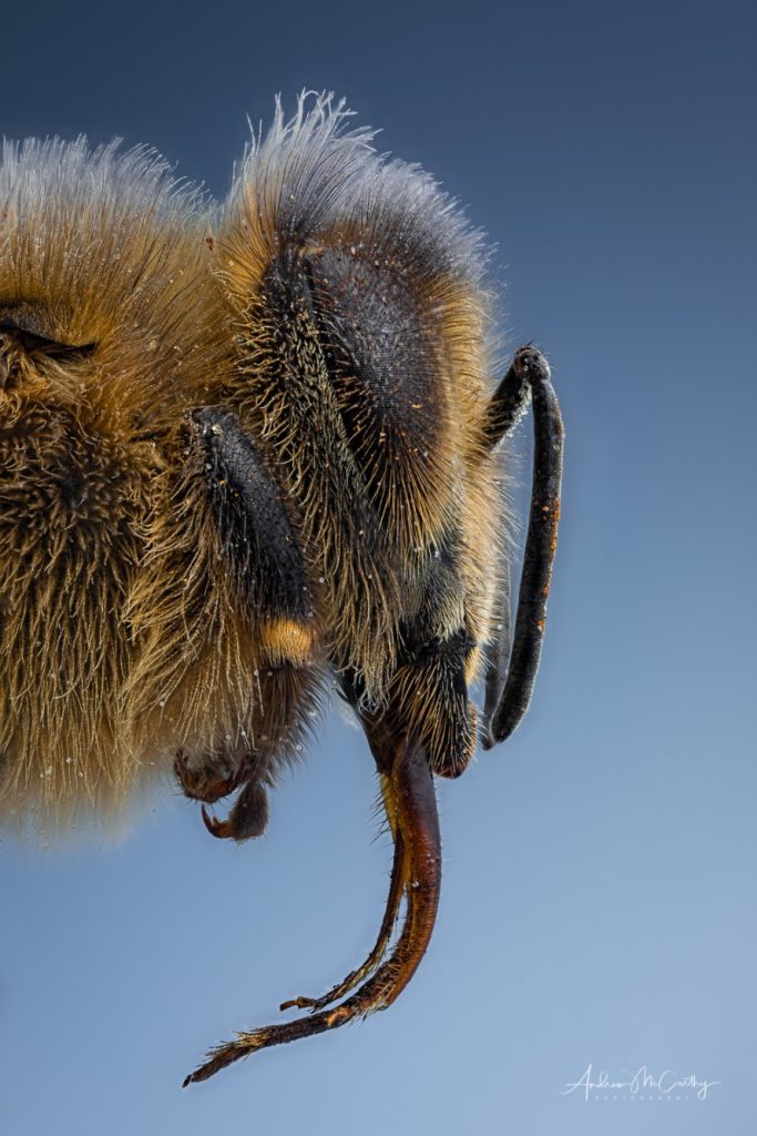 2017-11-25-14-08-10-ARadius5Smoothing3