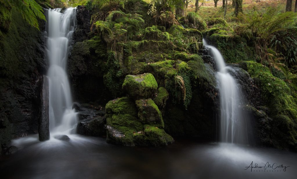 venford_blend_1-Edit