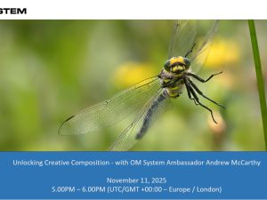 Payment in advance of download: OM System Unlocking Creative Composition - Part 1